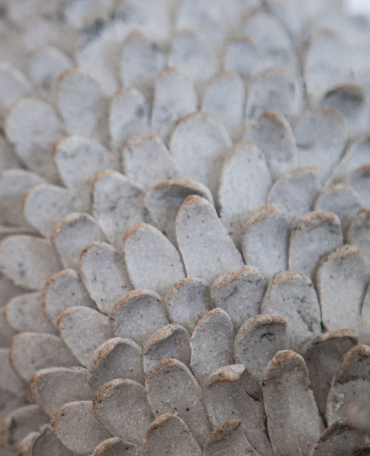 Ahn Lee, Cat Guardian, 2025