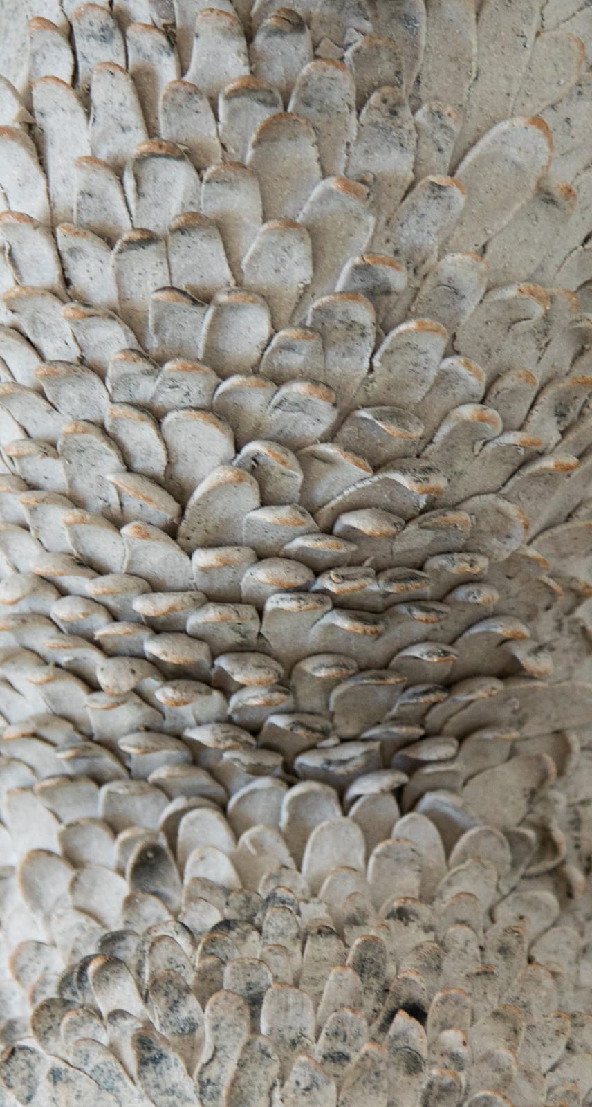 Ahn Lee, Cat Guardian, 2025