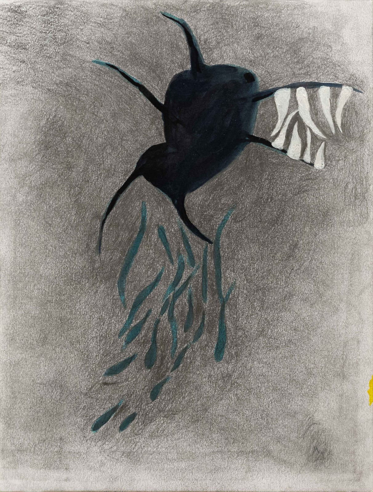 Guillermo Galindo, Leaf Spider, 02-22-21