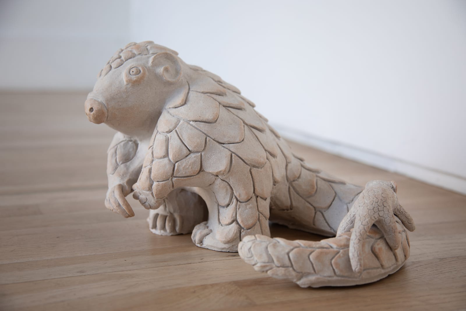 Ahn Lee, Pangolin, 2024