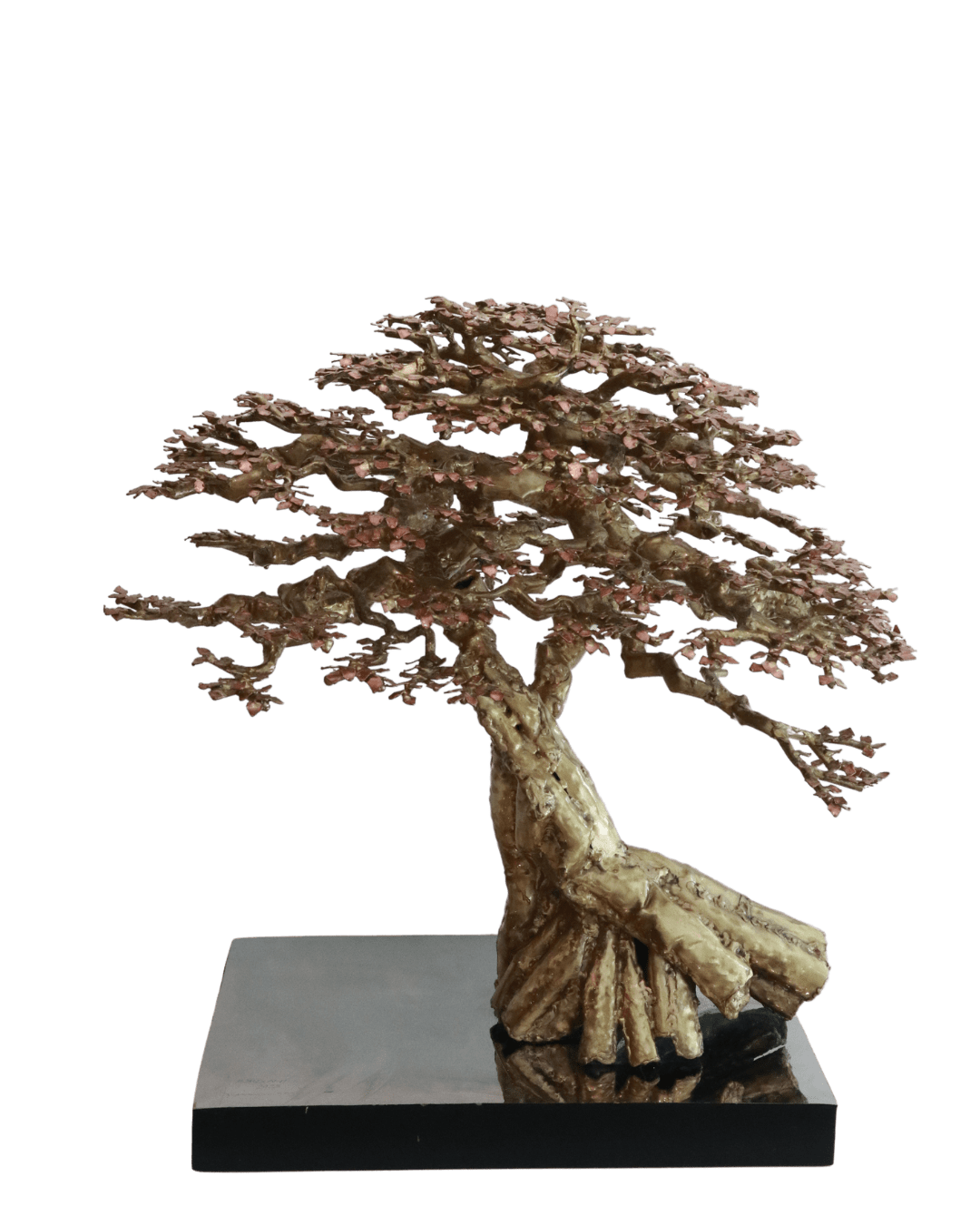 Richard Buxani, Camelot, 2024