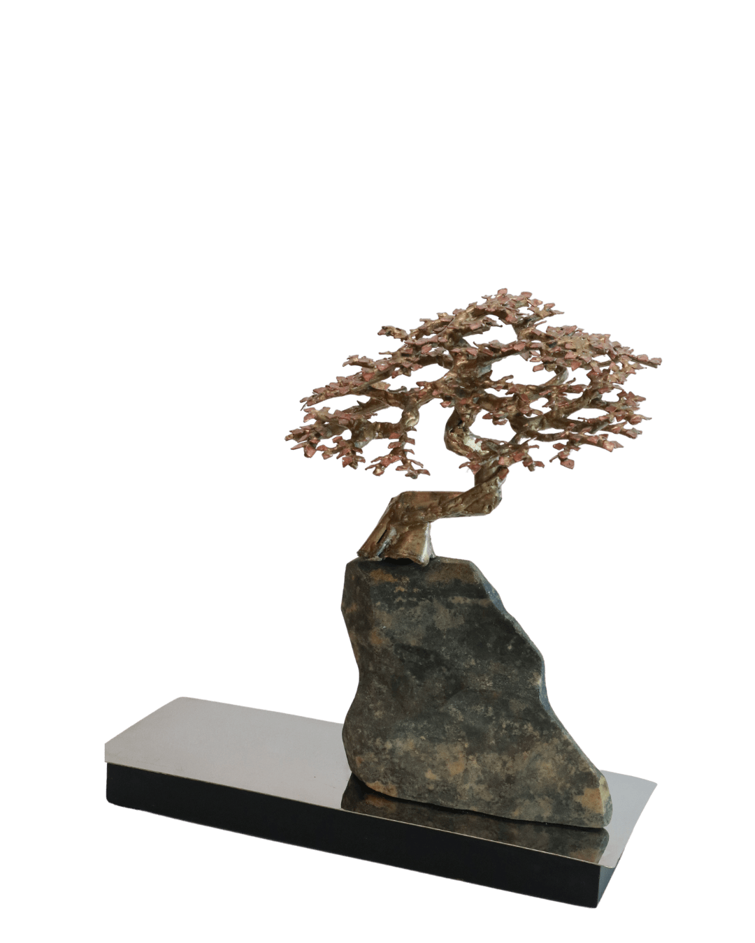 Richard Buxani, The cardinal, 2024