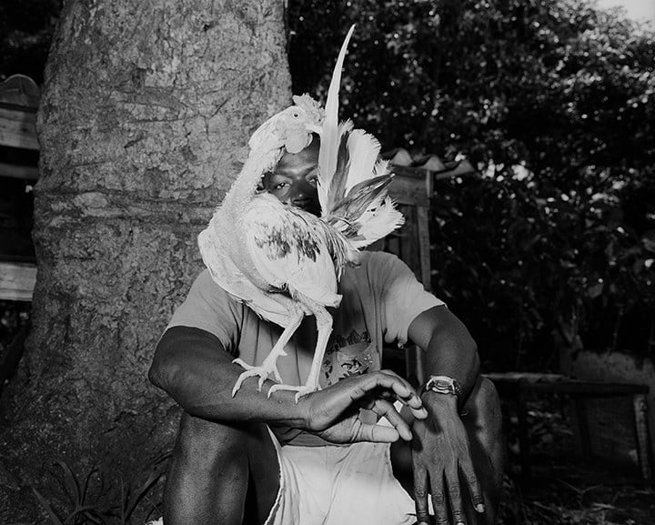 Tony Chirinos, No te Engañes, 2005