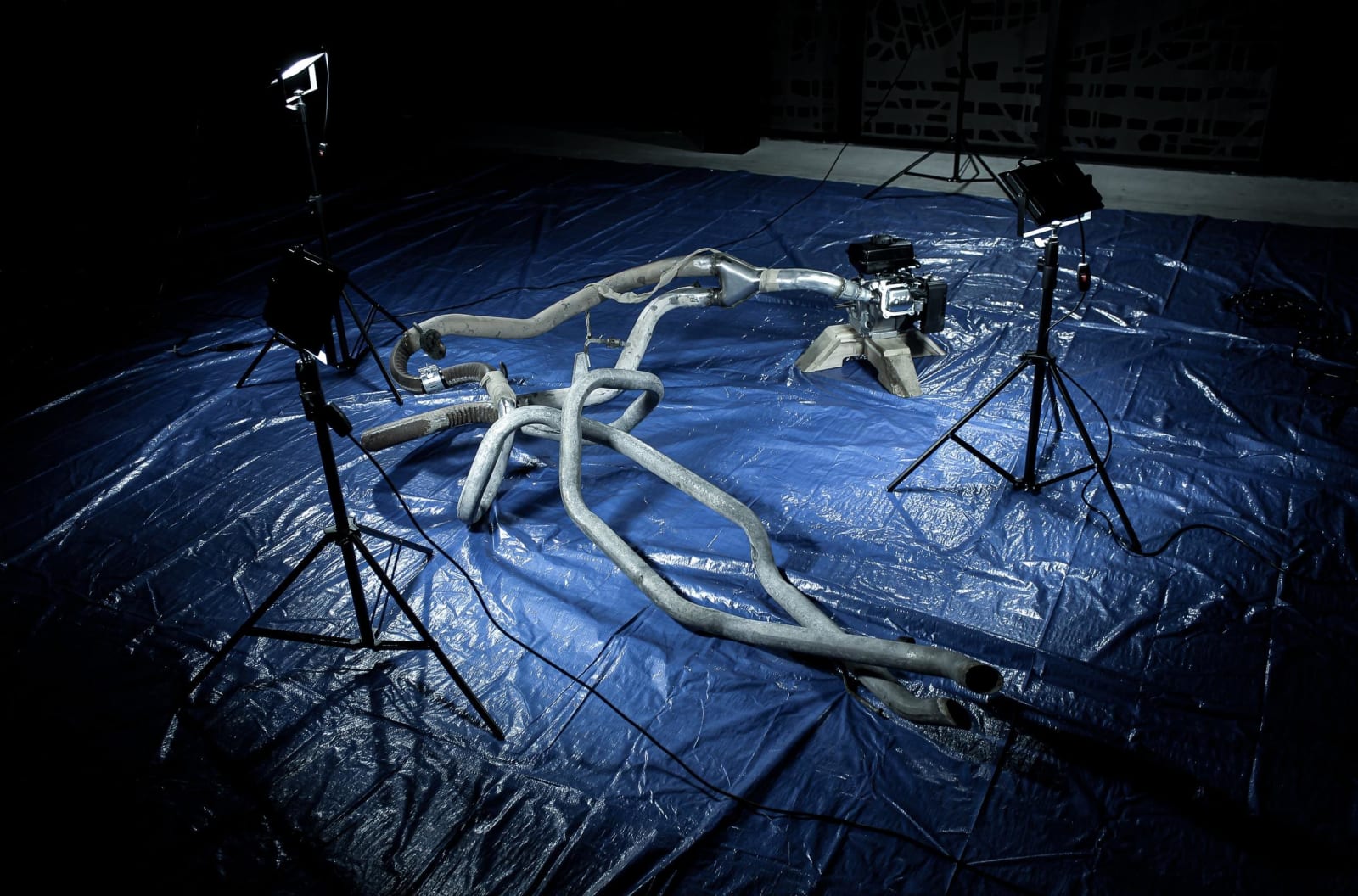 David Correa, Vestigial Limb V5, 2024