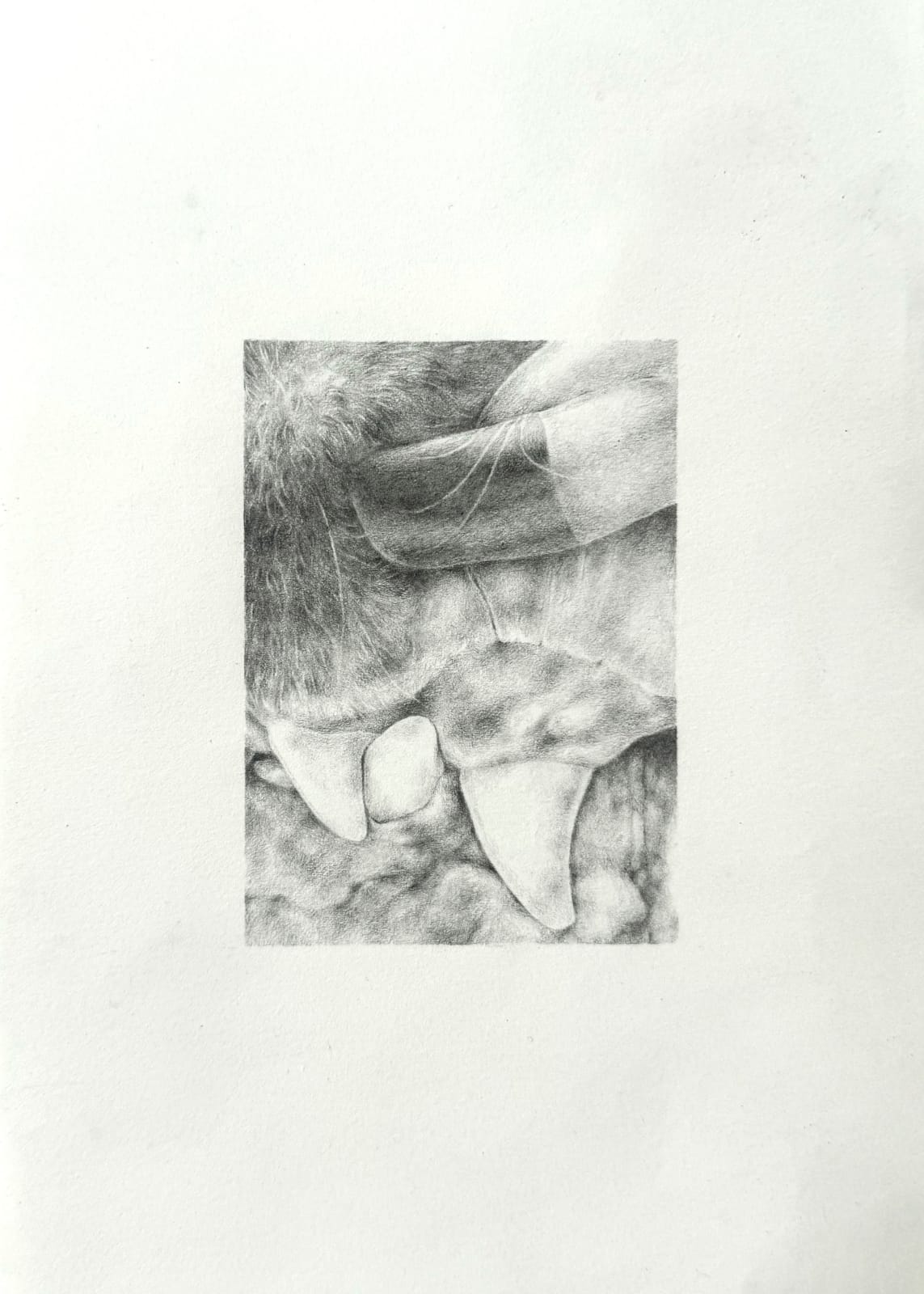 Alejandra Moros, August 2025, 2025