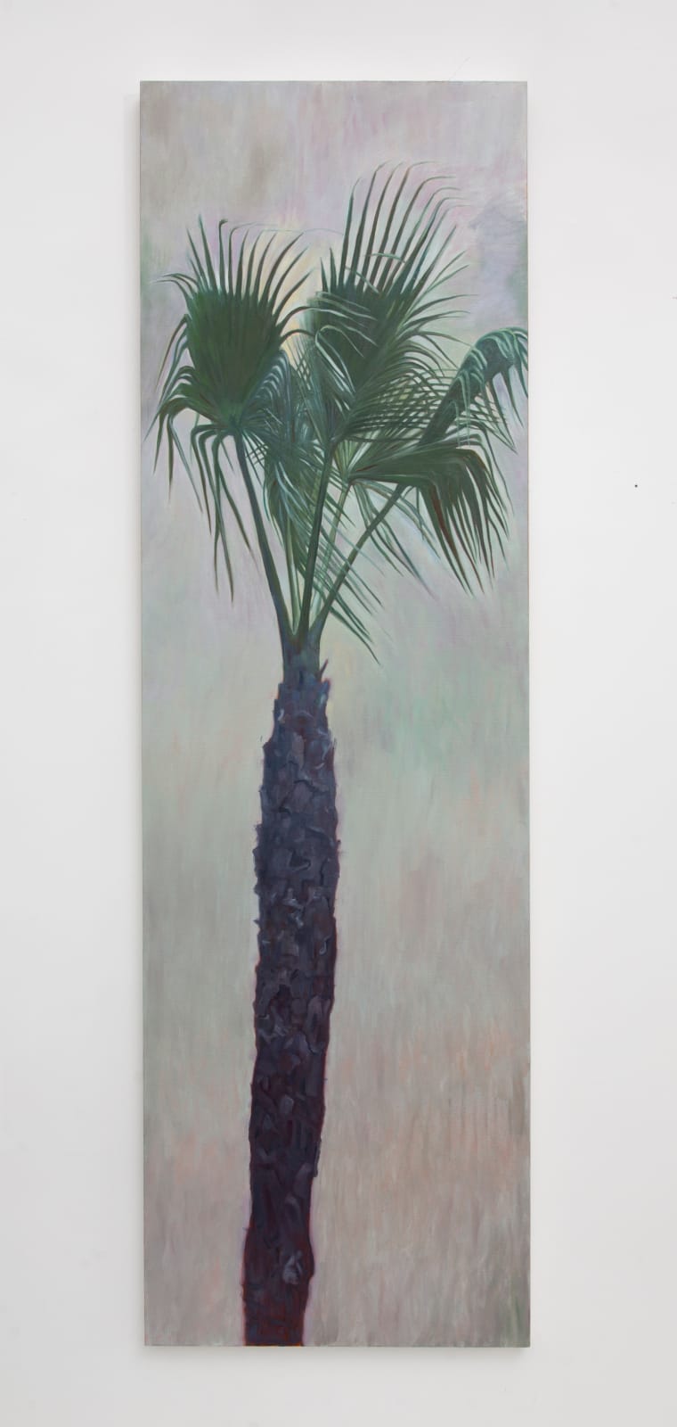 Perry Vásquez, Ambient, 2022