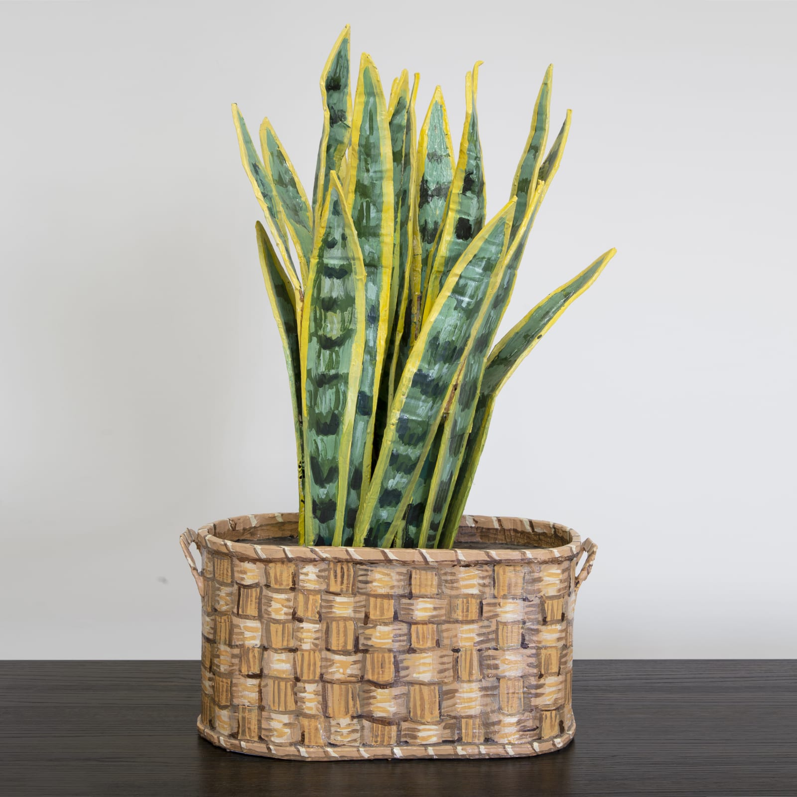 Jean Lowe, Mother in Law's Tongue, 2016