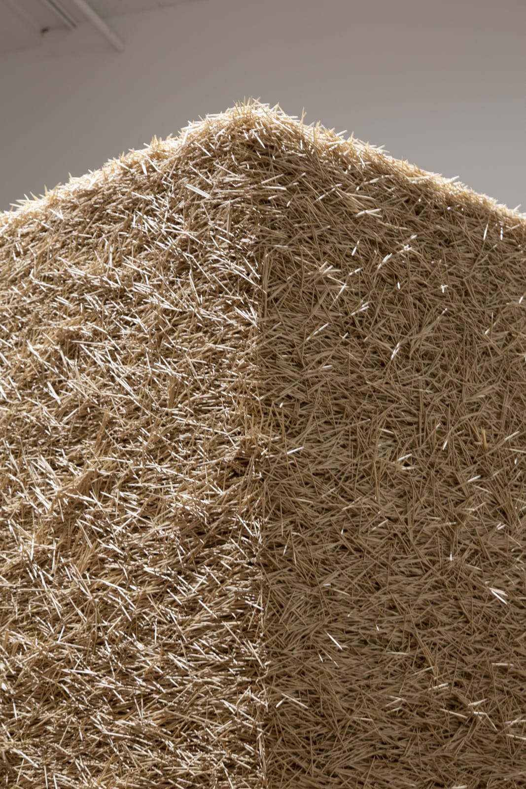 Tara Donovan, Untitled (Toothpicks), 2004