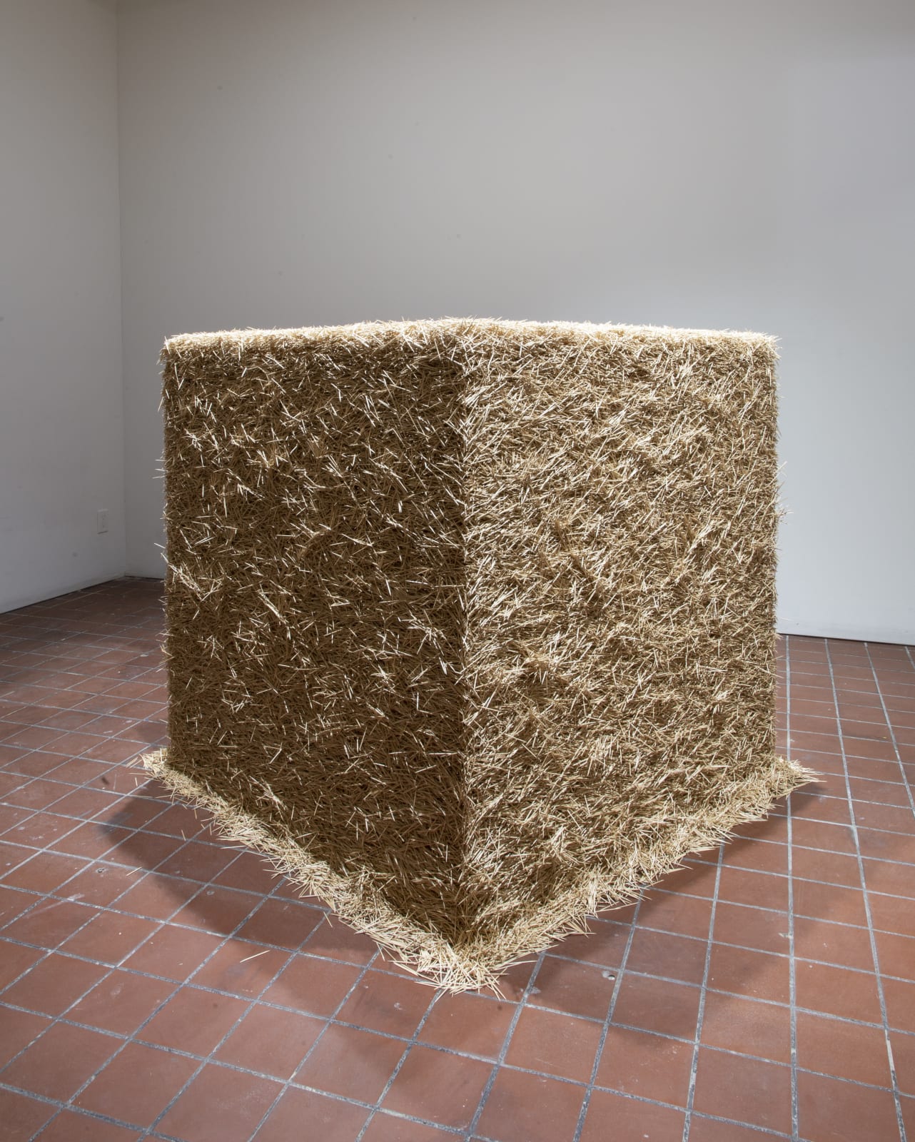 Tara Donovan, Untitled (Toothpicks), 2004