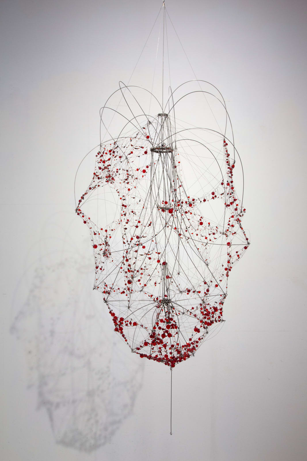 Anne Mudge, Deodara, 2024