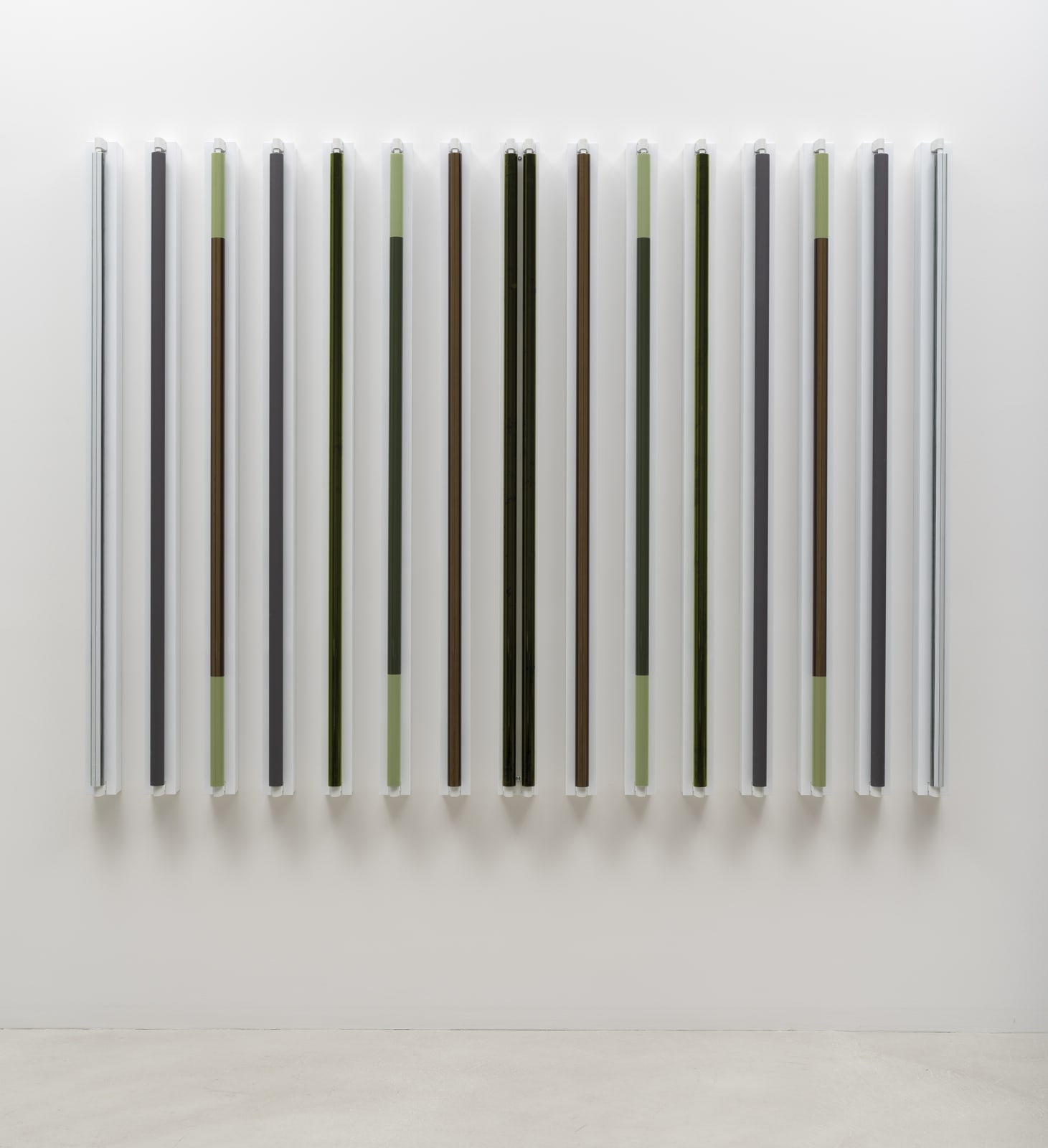 Robert Irwin, Man in the Band, 2017