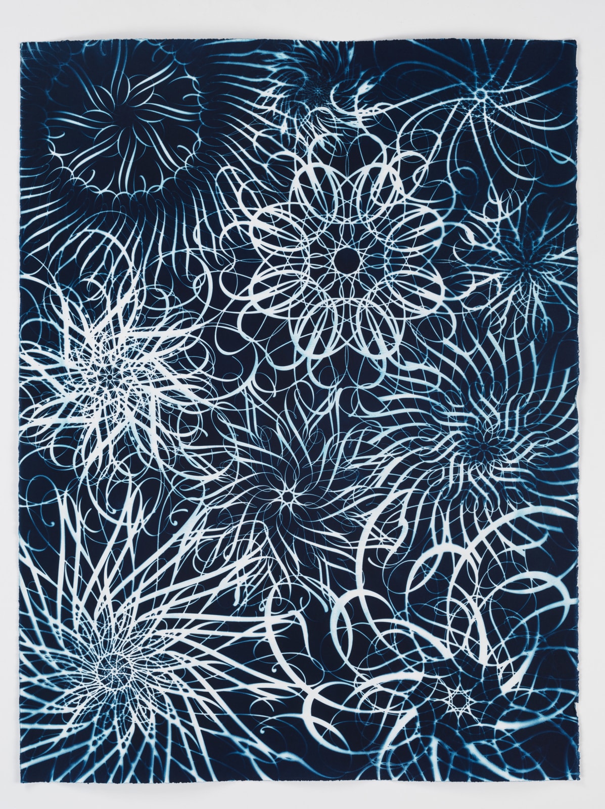 Ryan McGinness, Dark Energy Cyanotype 36, 2015