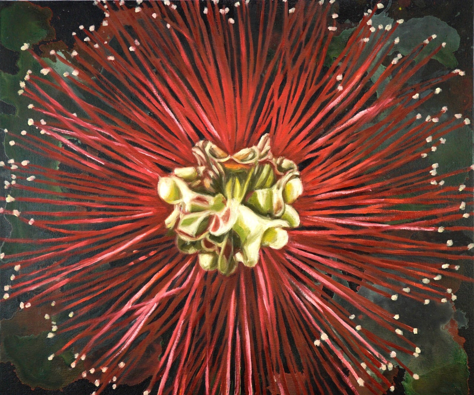 Gail Roberts, Bottlebrush, 2020