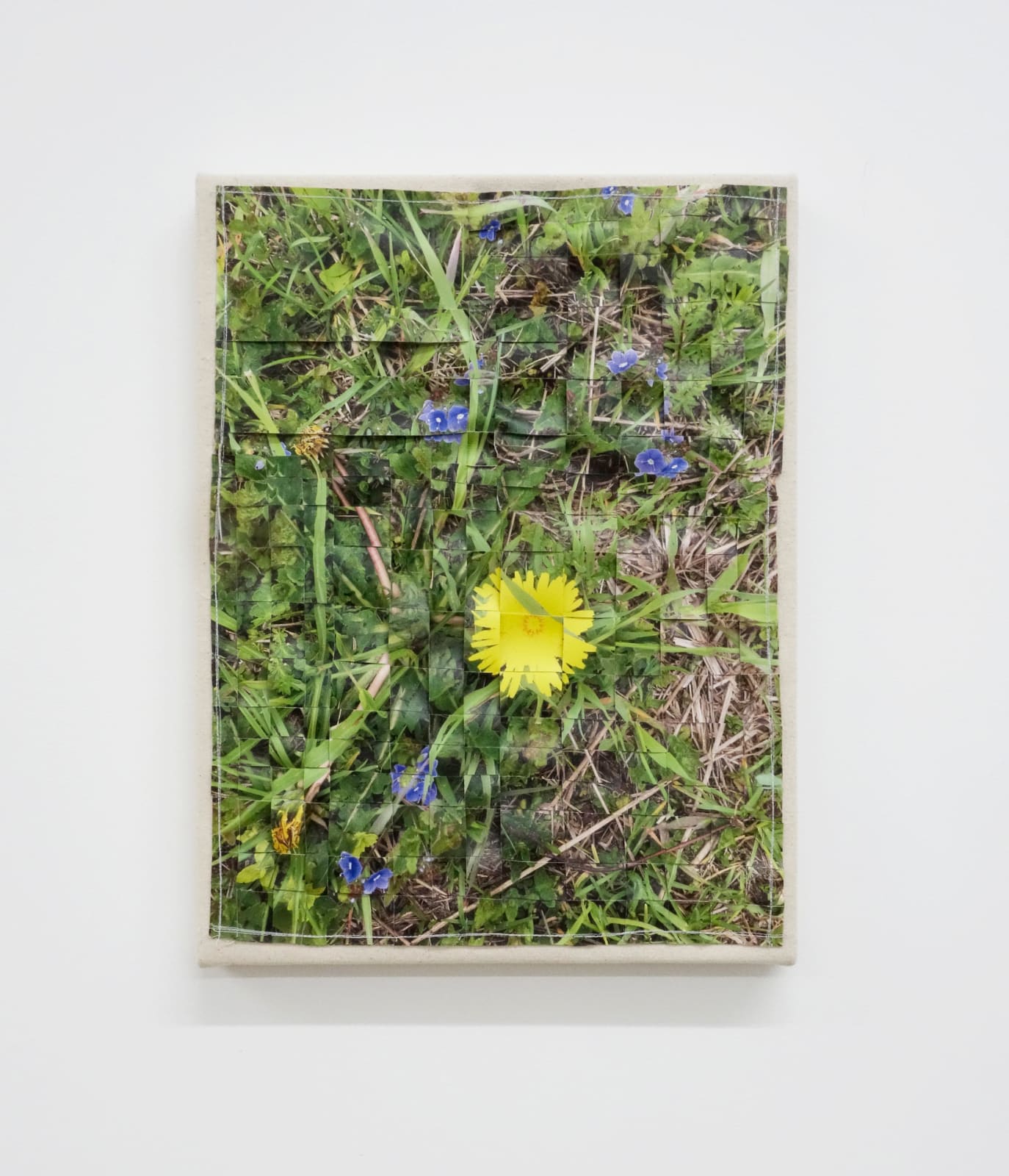 Andrea McGinty, In the Weeds 1, 2021