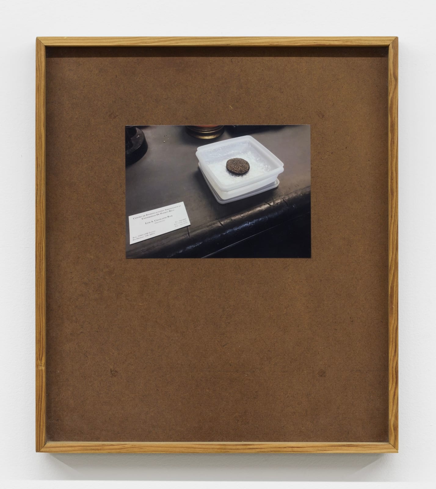 Jorge Gonzalez, Calendario Antillano (Antillean Calendar), 2016