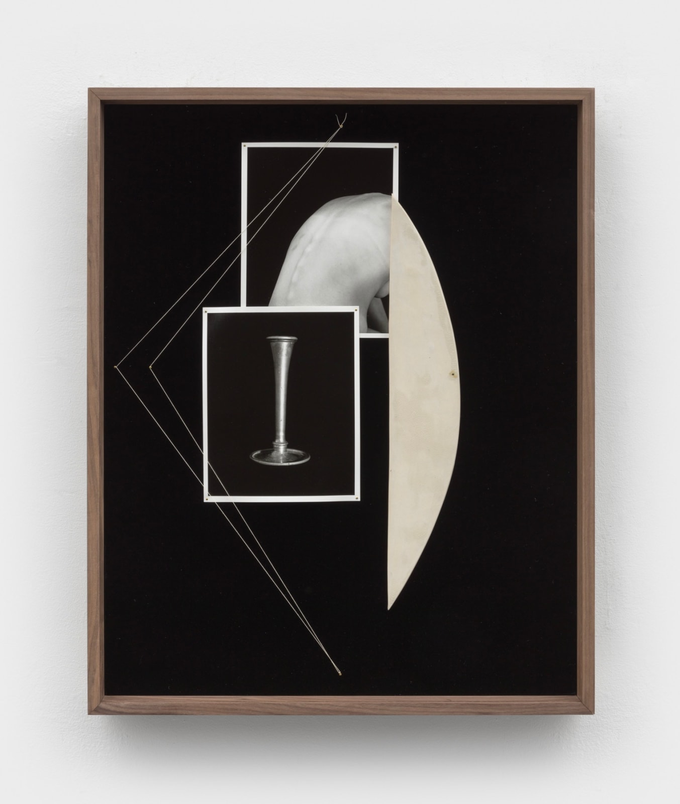 Sheree Hovsepian, Cadence, 2022