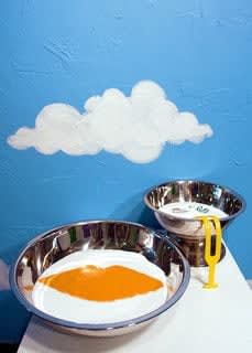 Margaret Lee, Loveless Marriages (Anicka Yi/Josh Kline), 2010