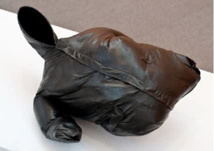 Erwin Wurm, House 1, 2011