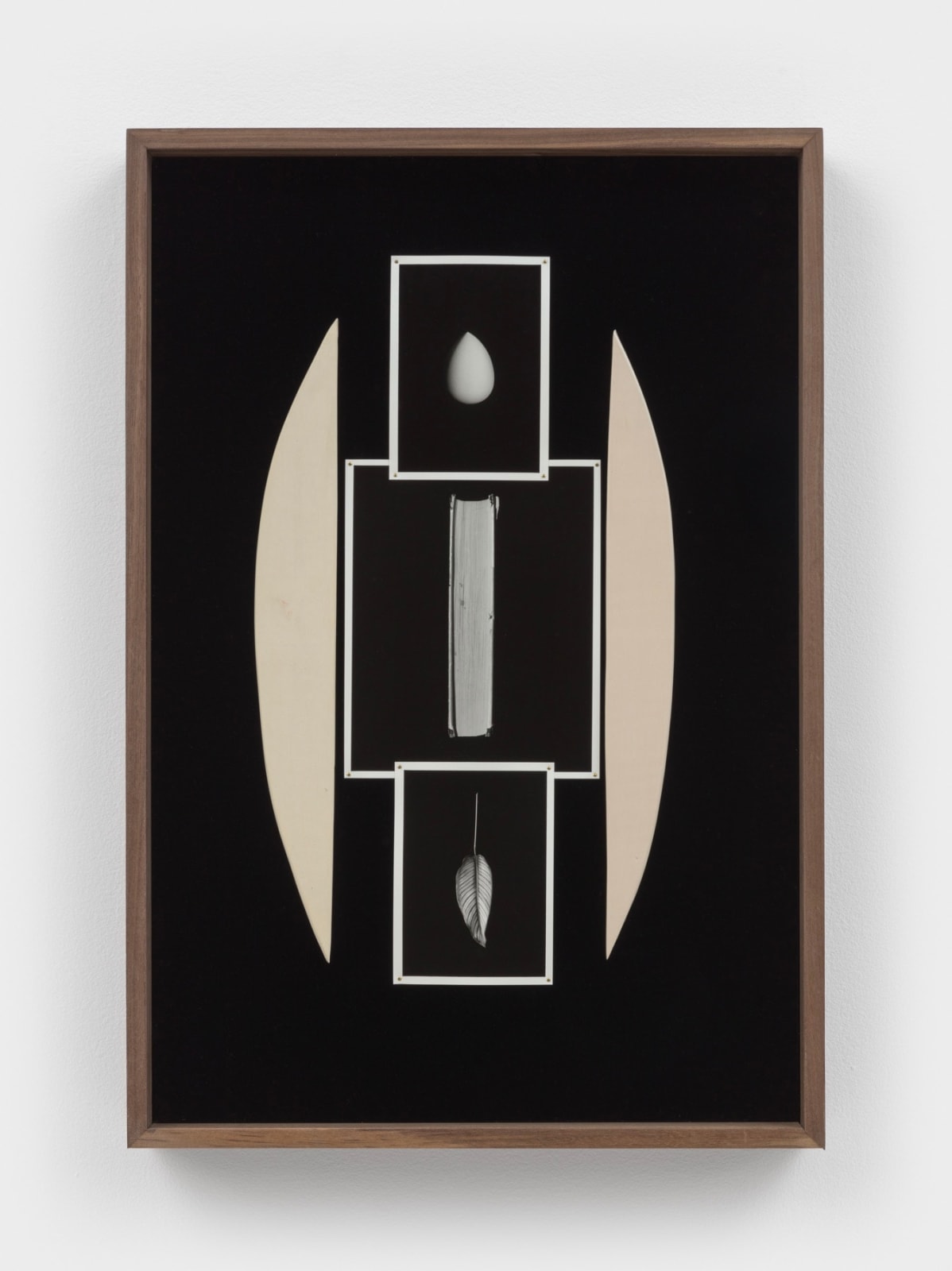 Sheree Hovsepian, Text, 2022