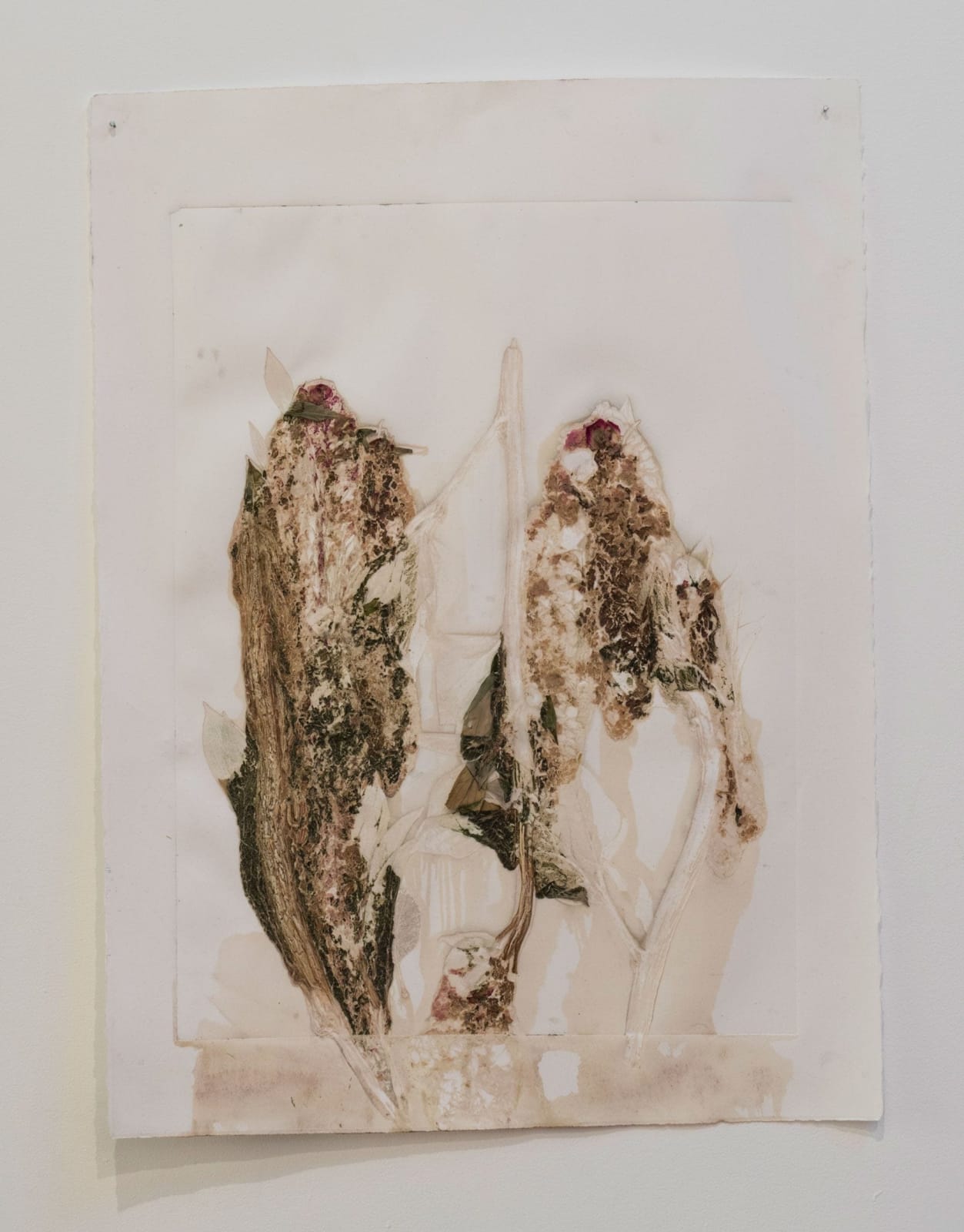 Molly Zuckerman-Hartung, Mary Oliver's Peonies, 2017