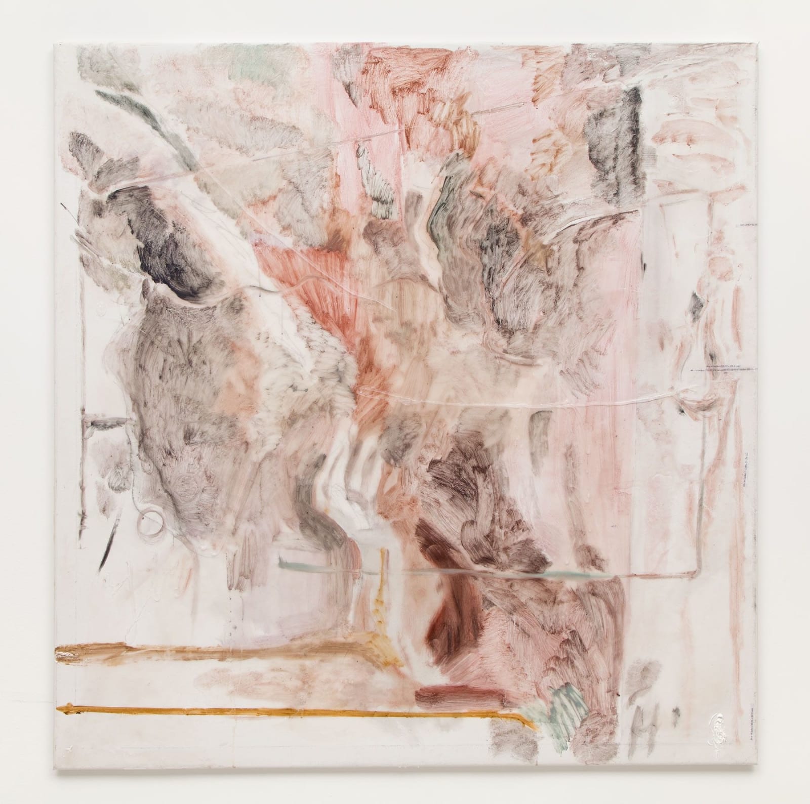 Nikholis Planck, Live dimensions, 2015-2016