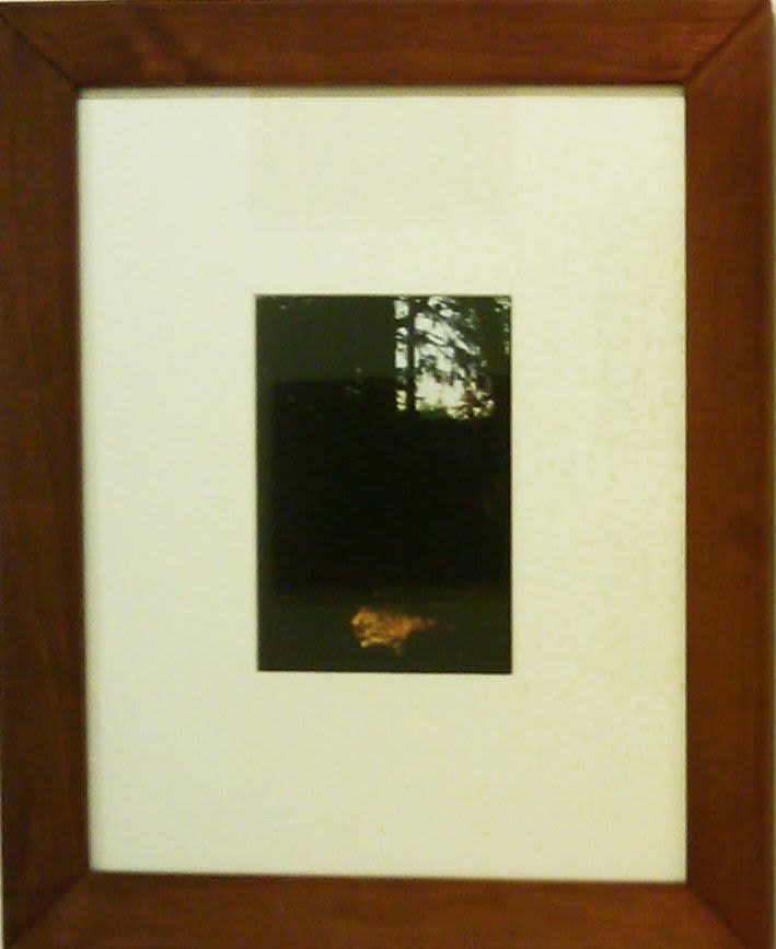 Sam Moyer, Midnight Special (series), 2009