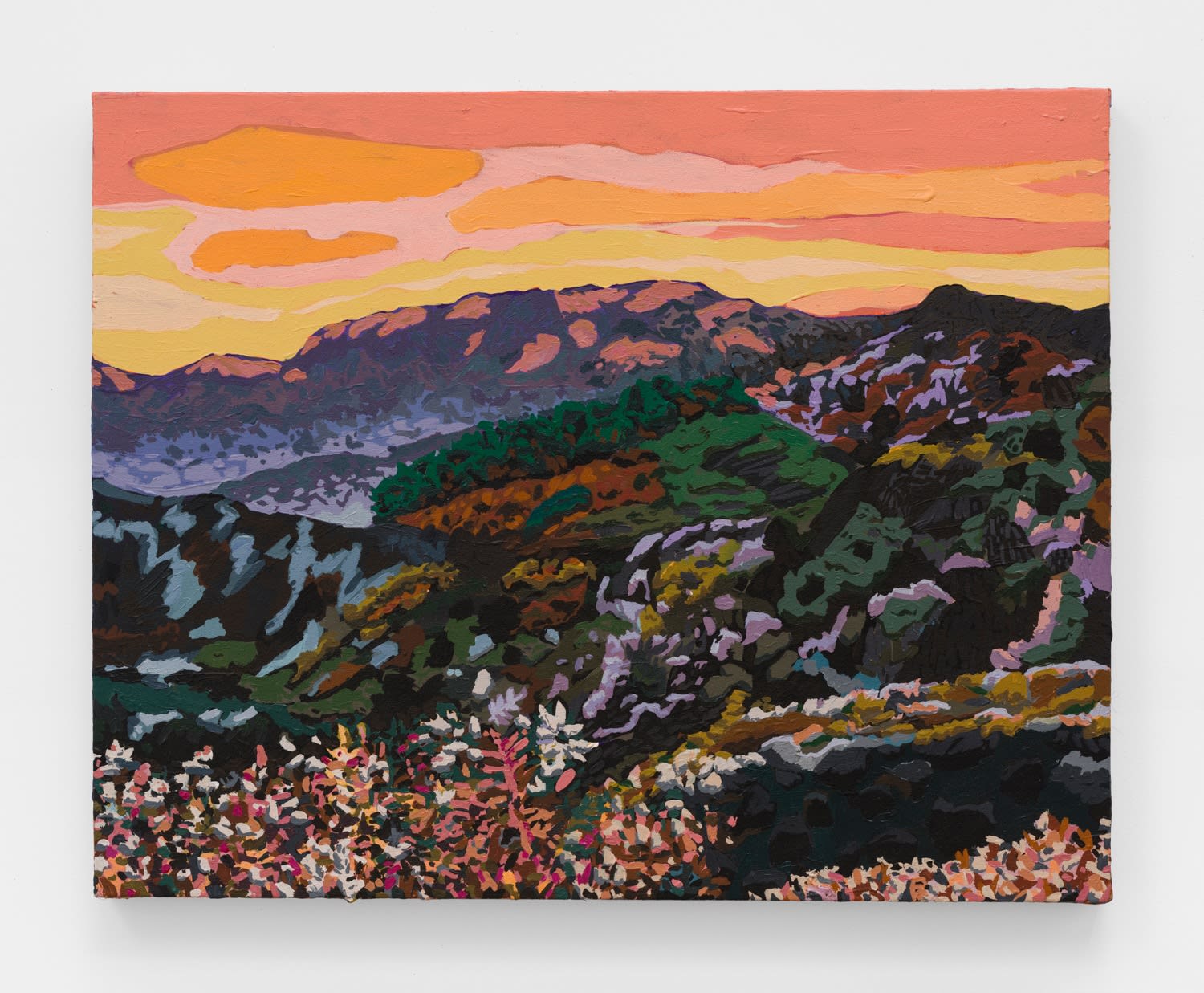 Hilary Pecis, Santa Monica Mountains, 2020