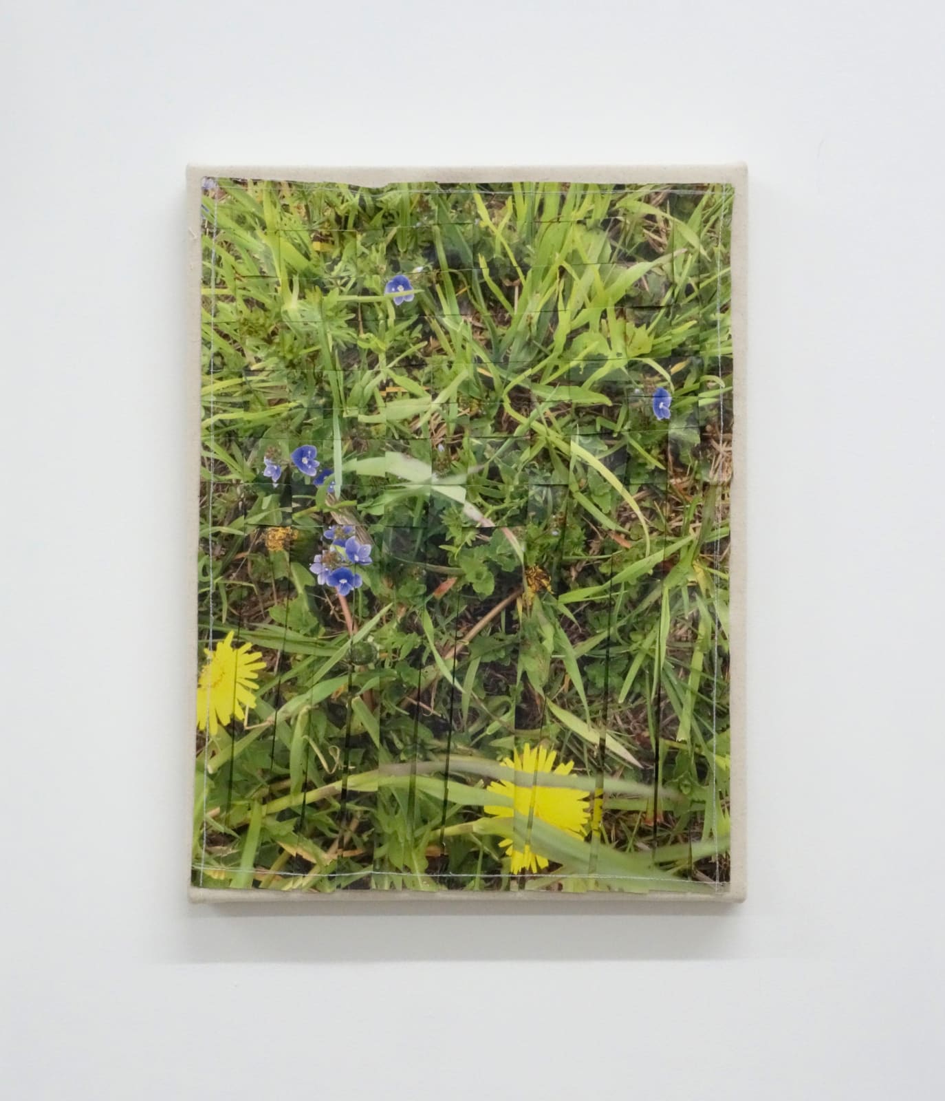 Andrea McGinty, In the Weeds 3, 2021