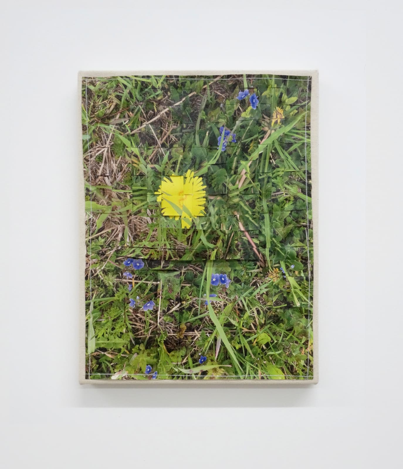 Andrea McGinty, In the Weeds 2, 2021