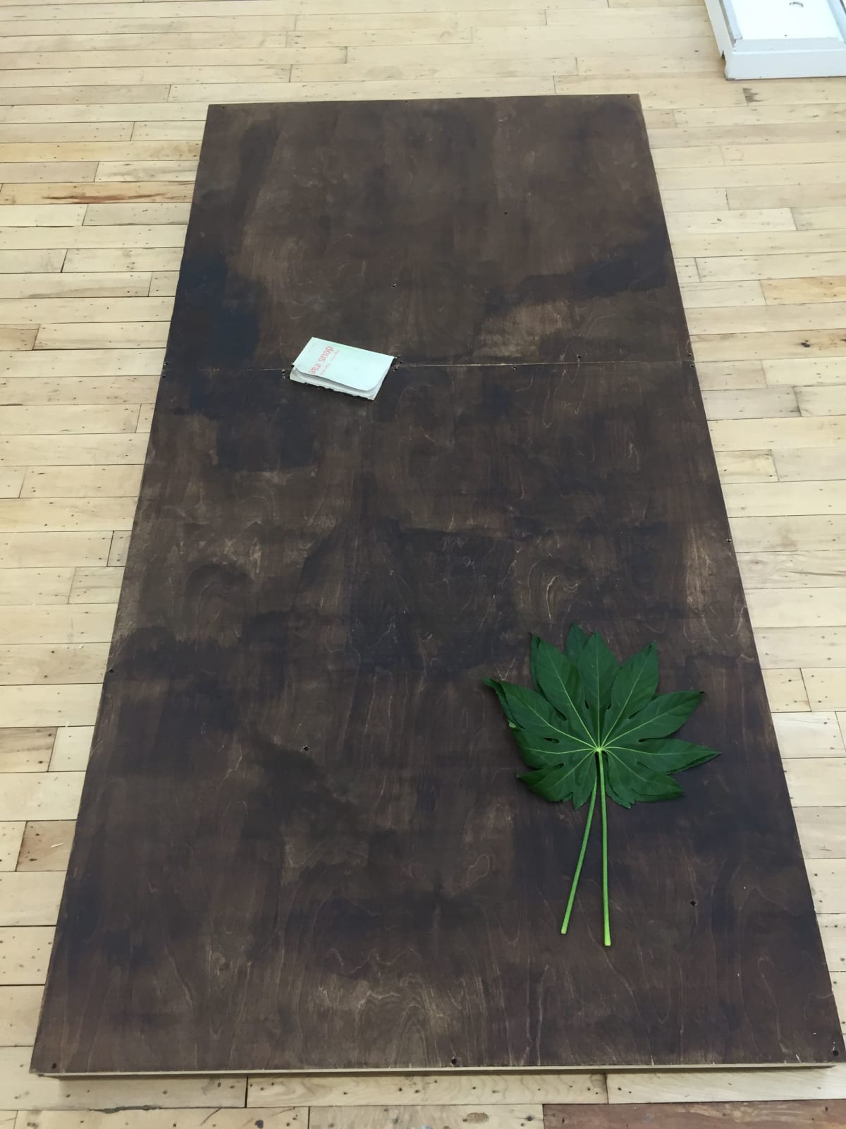 Nikholis Planck, Untitled platform, 2016