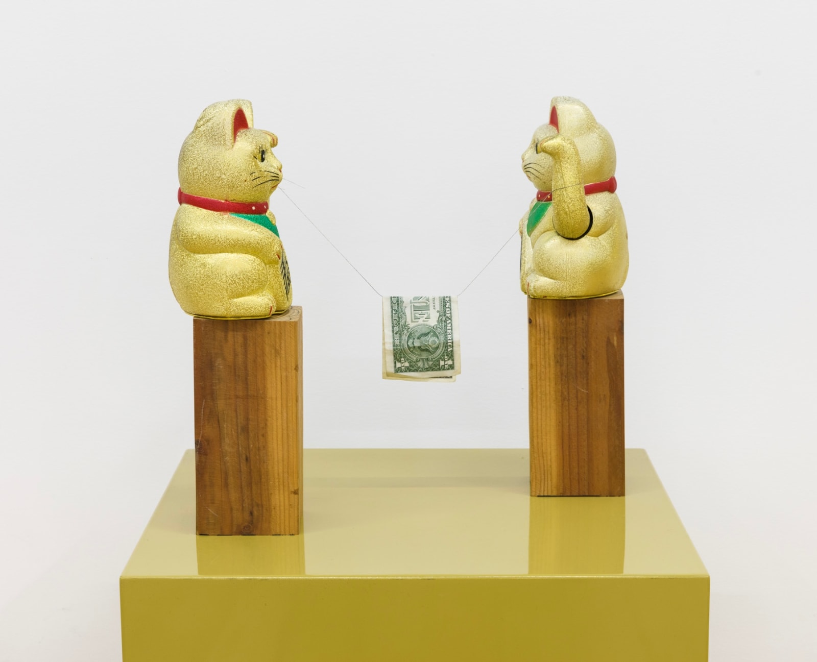 Nobutaka Aozaki, Lucky Competitive Cats, 2016/2019