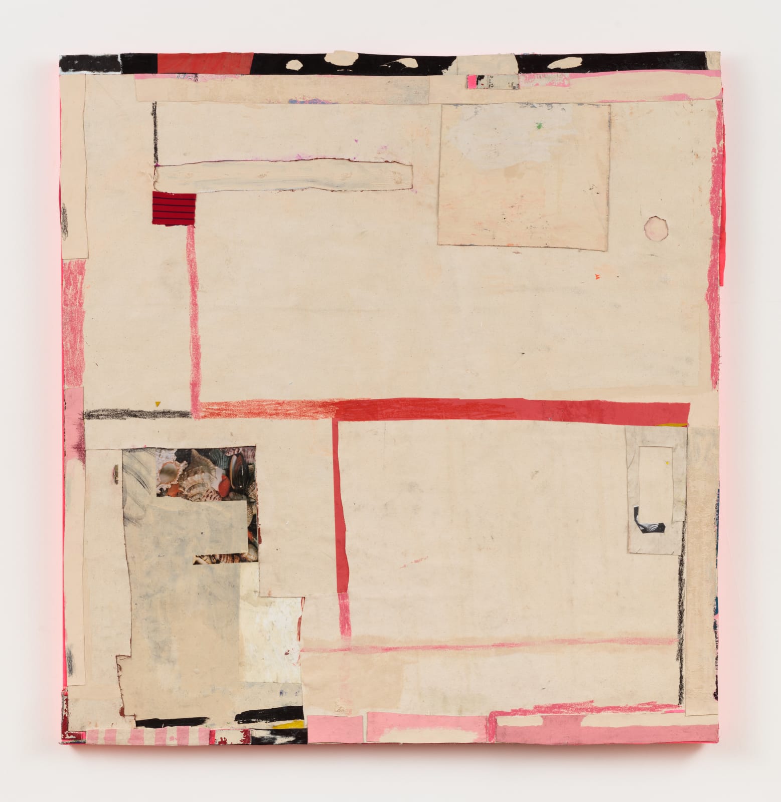 Strauss Bourque-LaFrance, Sailor St. Valentine, 2018