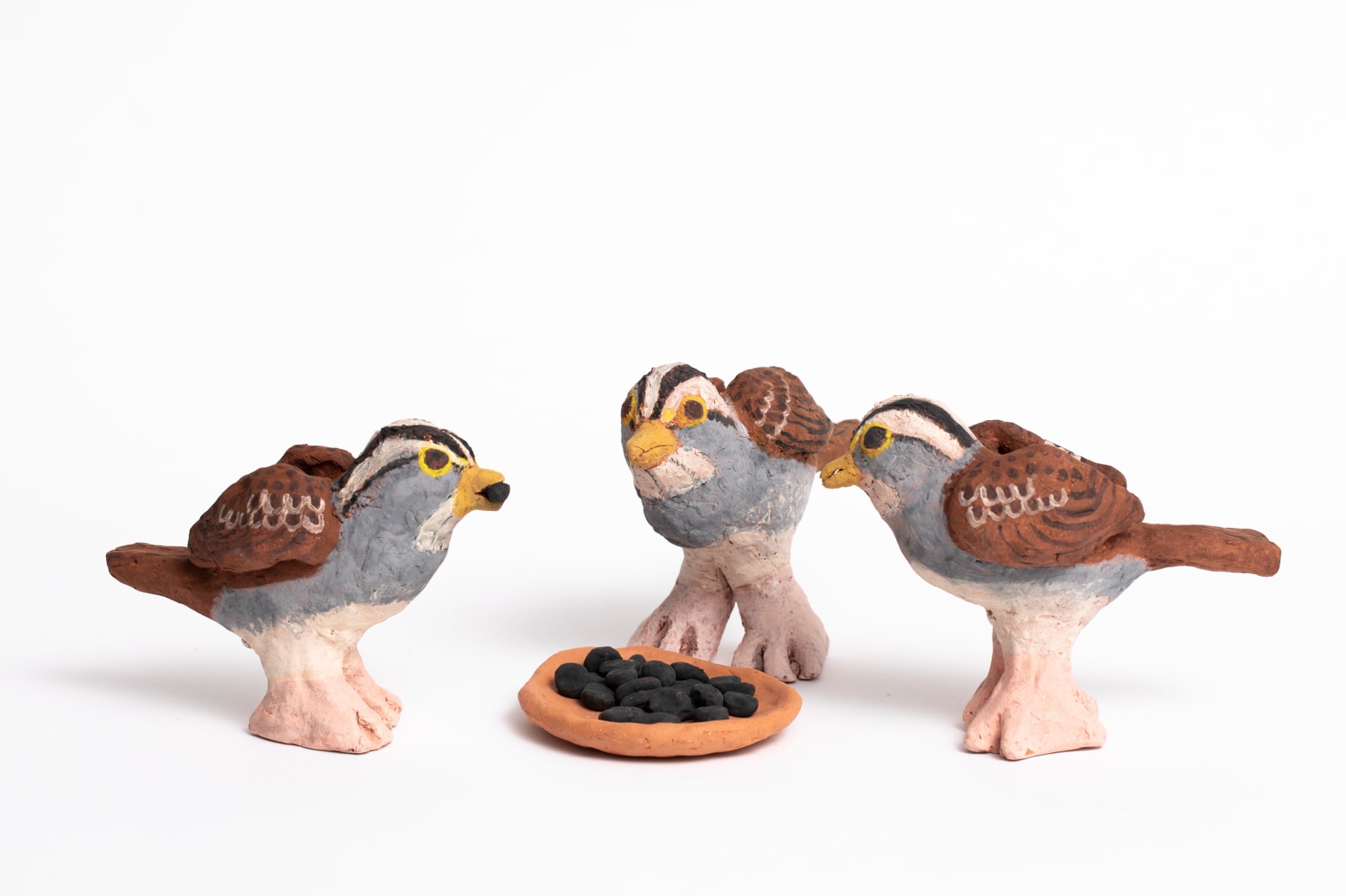 Sally Saul, White-throated Sparrow, 2020