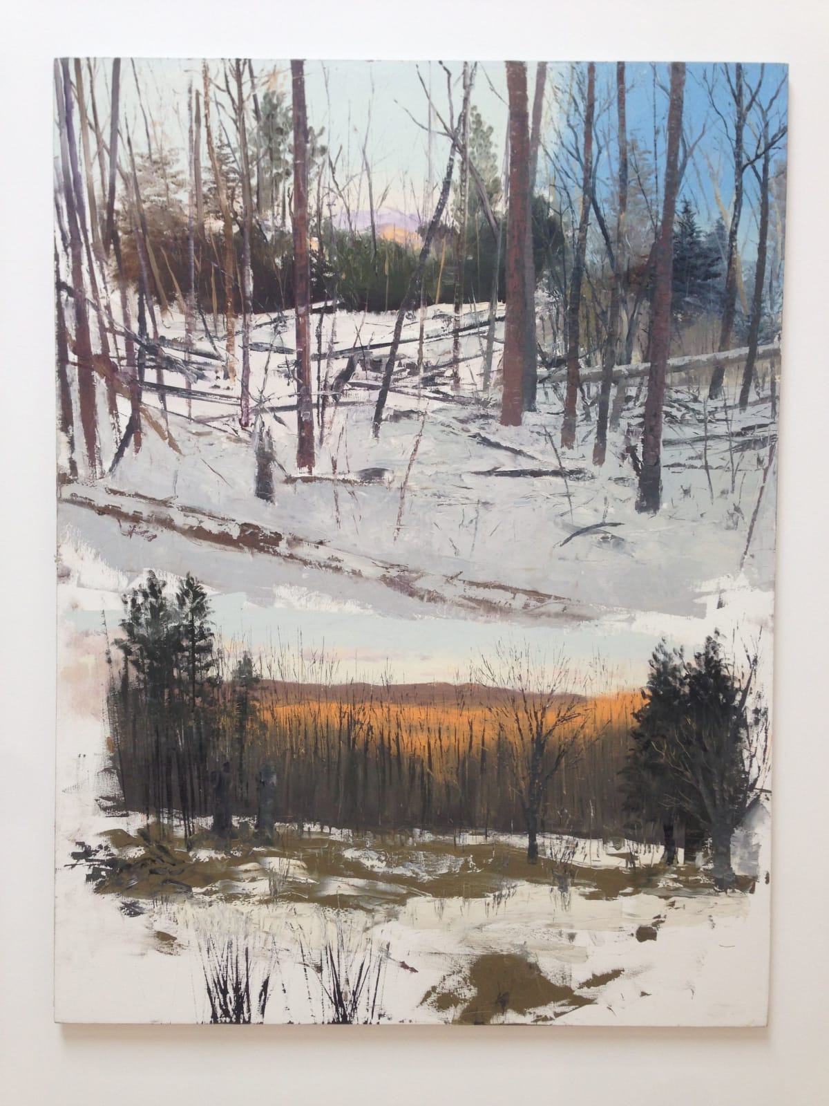 Van Hanos, Two views of Kerhonkson, 2010