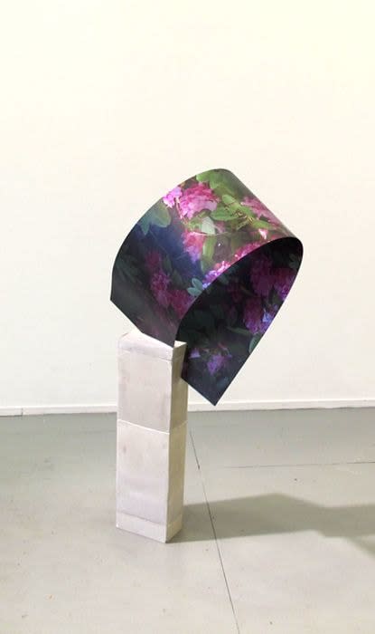 Virginia Poundstone, Paula Pryke, 2012