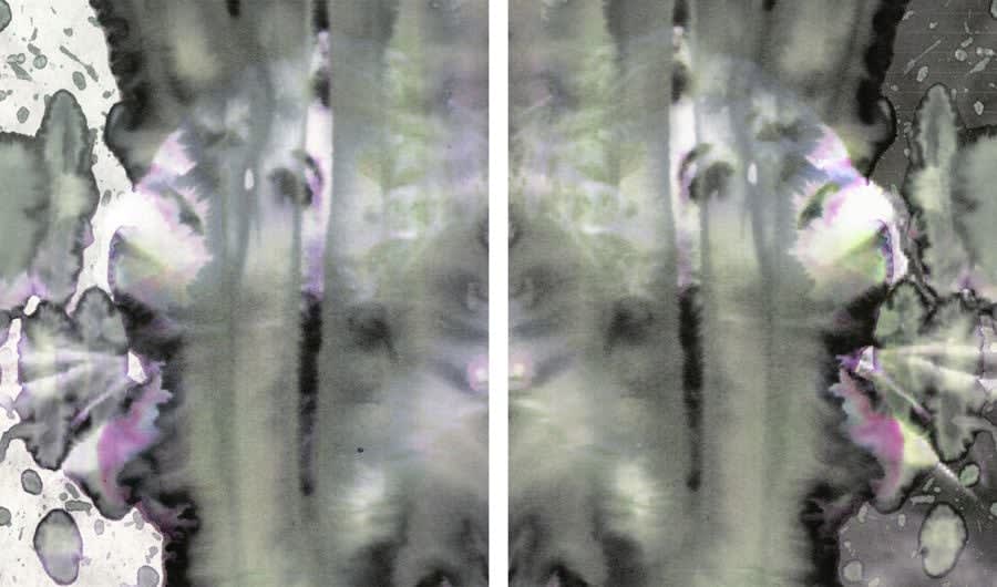 Sara Greenberger Rafferty, Bea, Bea, 2010