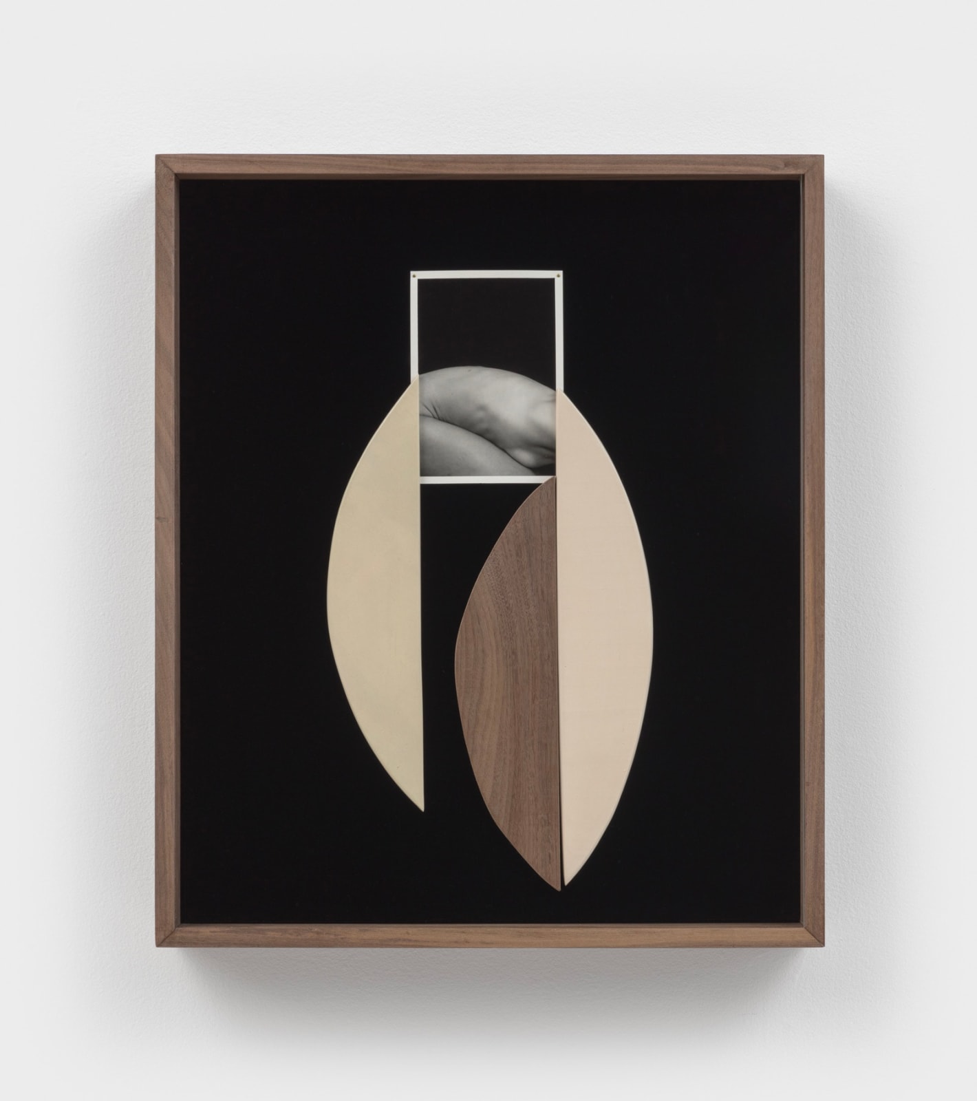 Sheree Hovsepian, Eye, 2022