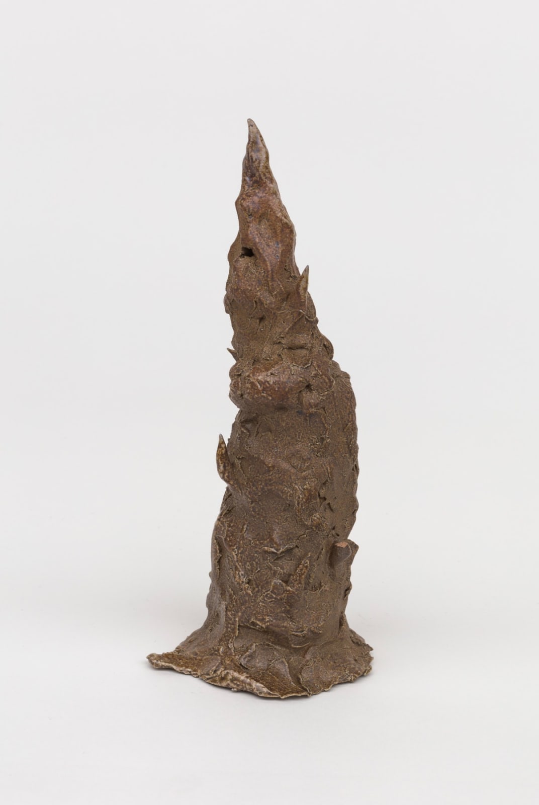 Erica Mao, salt tree, 2022