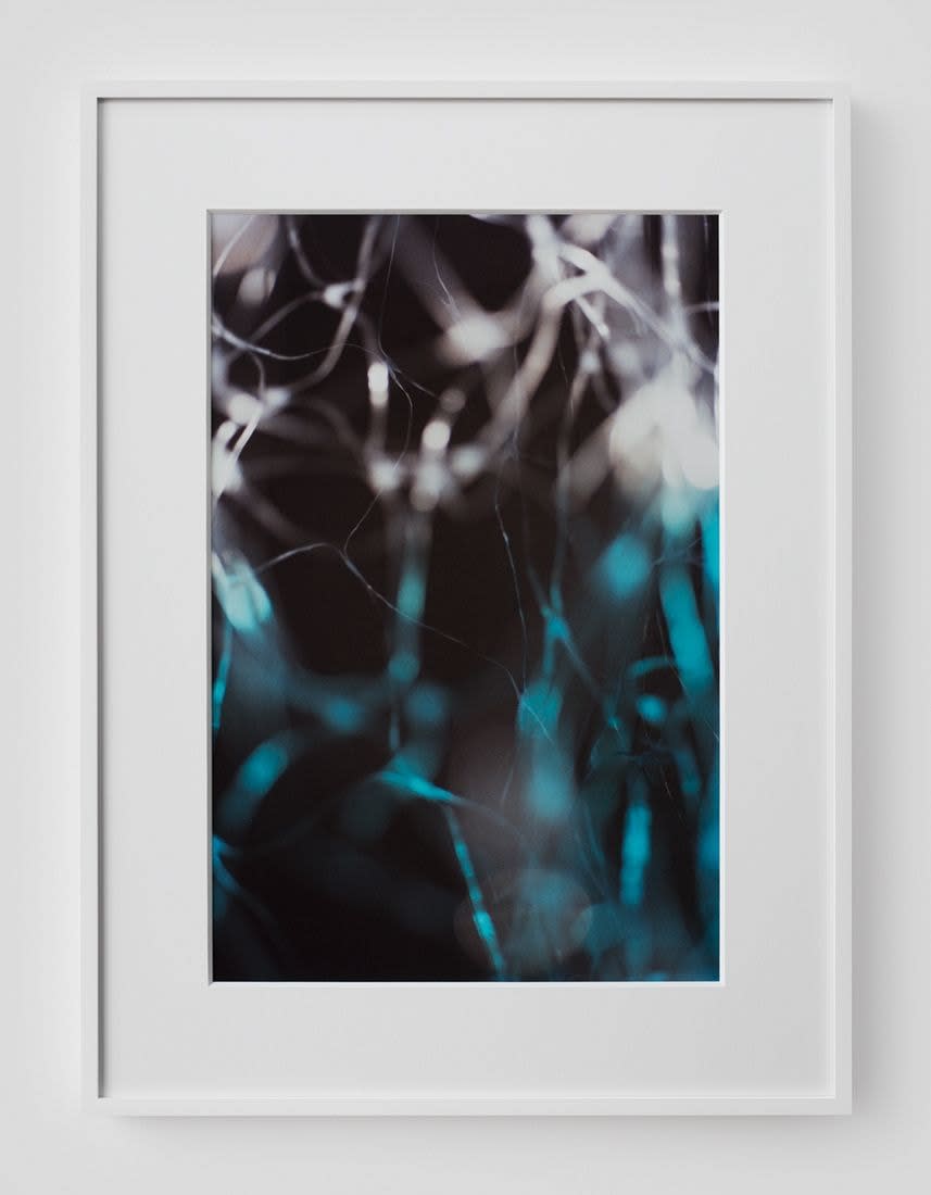 Josh Brand, Untitled, 2014-2015