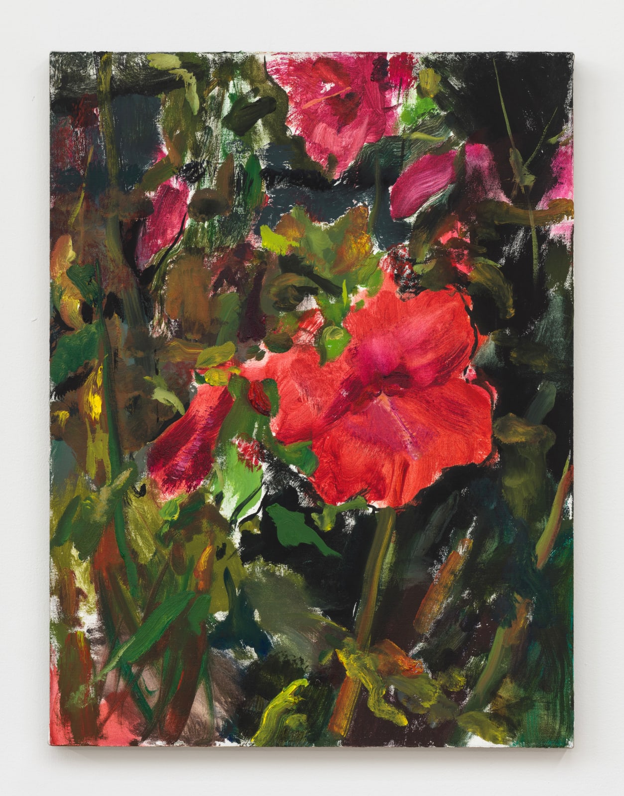 Doron Langberg, Hibiscus, 2020
