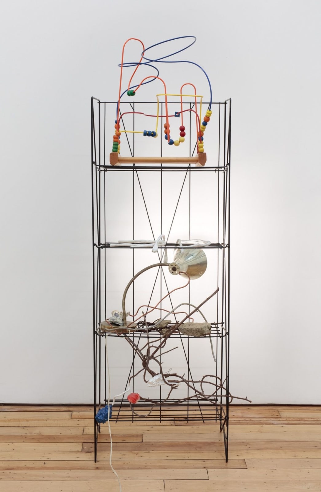 Molly Zuckerman-Hartung, What Is Found There, 2017
