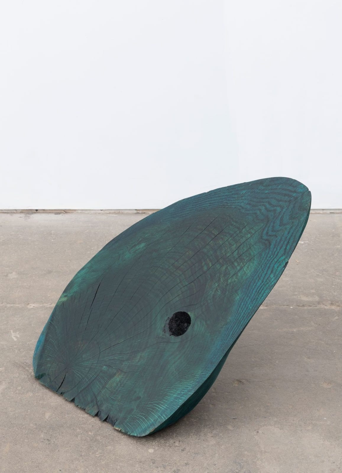 Dmitri Hertz, Fish, 2018