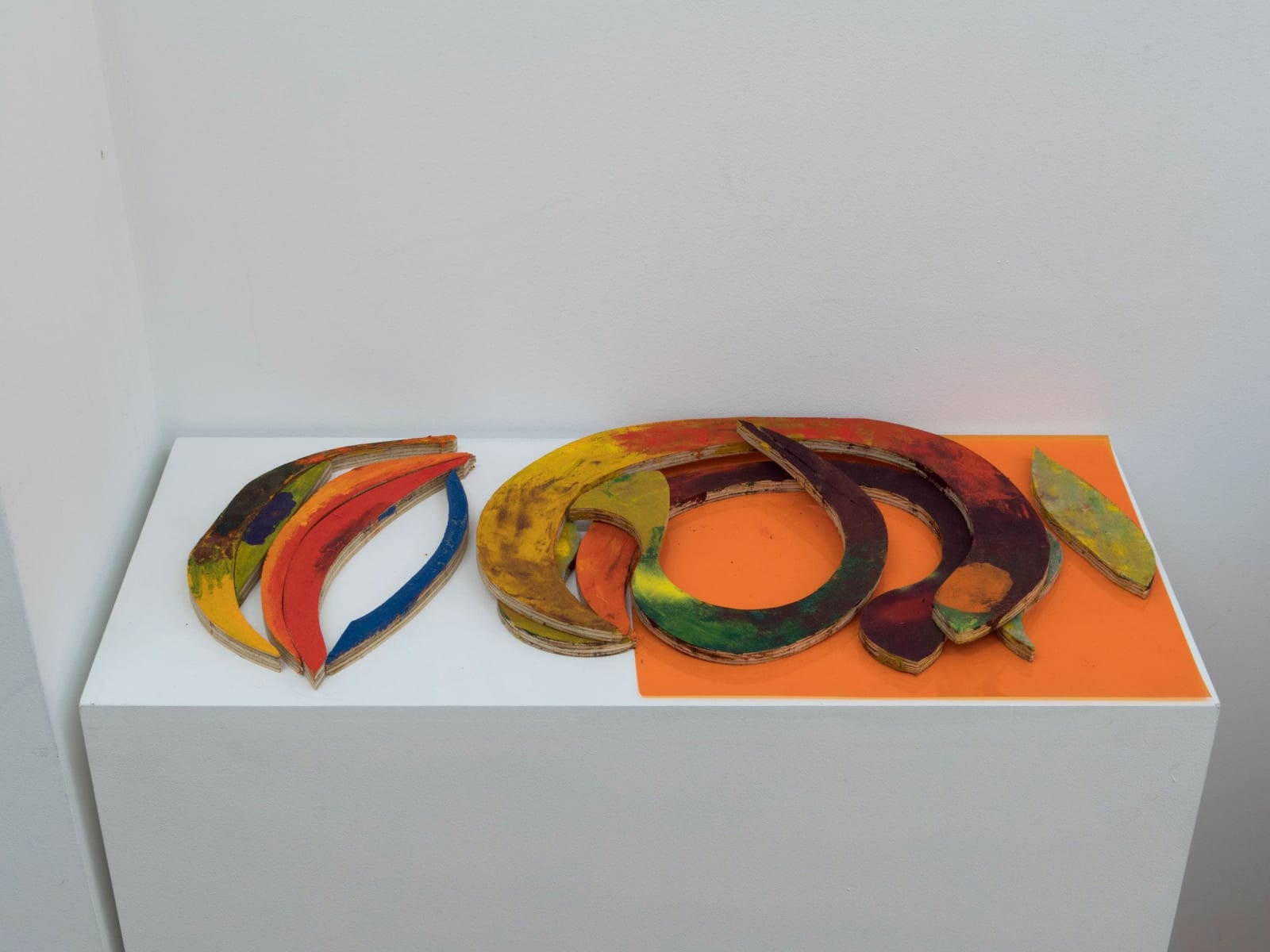 Molly Zuckerman-Hartung, Exercise IX, 2017