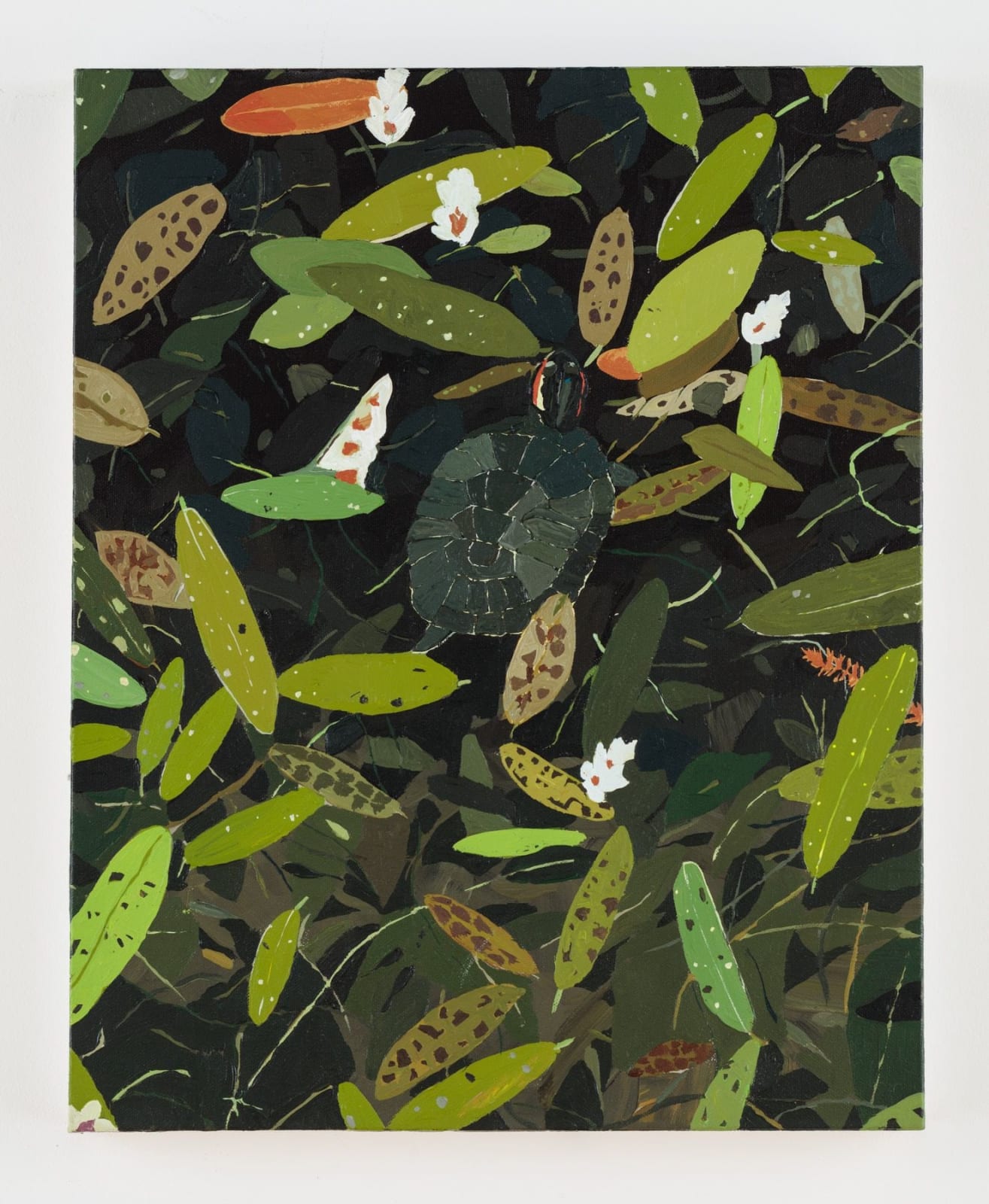 Hilary Pecis, Pond Turtle, 2018