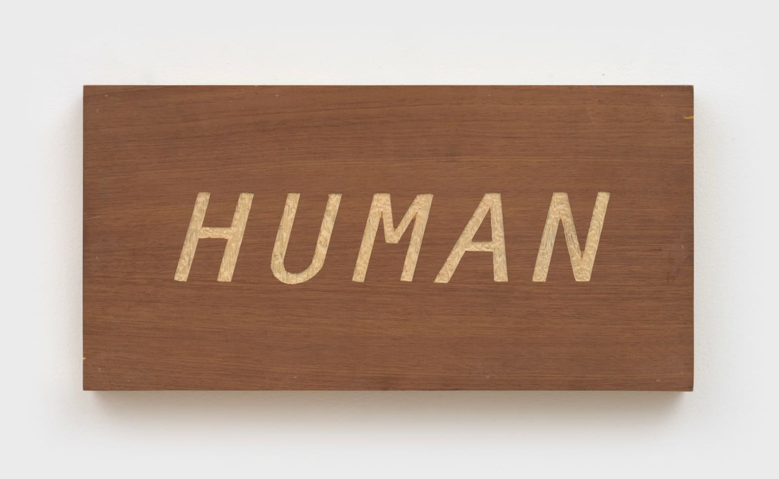 Christopher Paz-Rivera, human, 2012