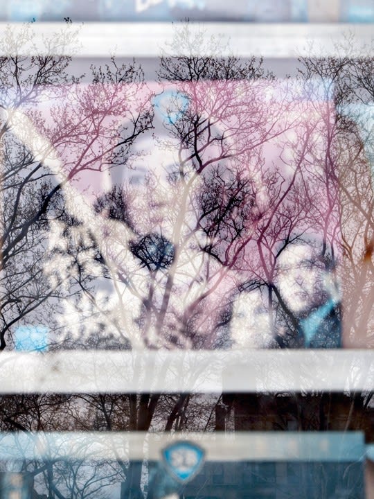 Barb Choit, Untitled Faded Beauty (Asian Cinema), 2012