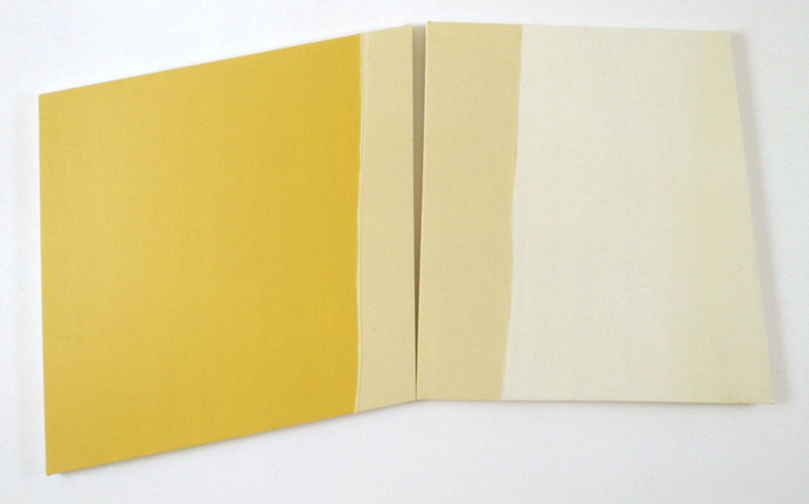 Justin Adian, Apostasy, 2005