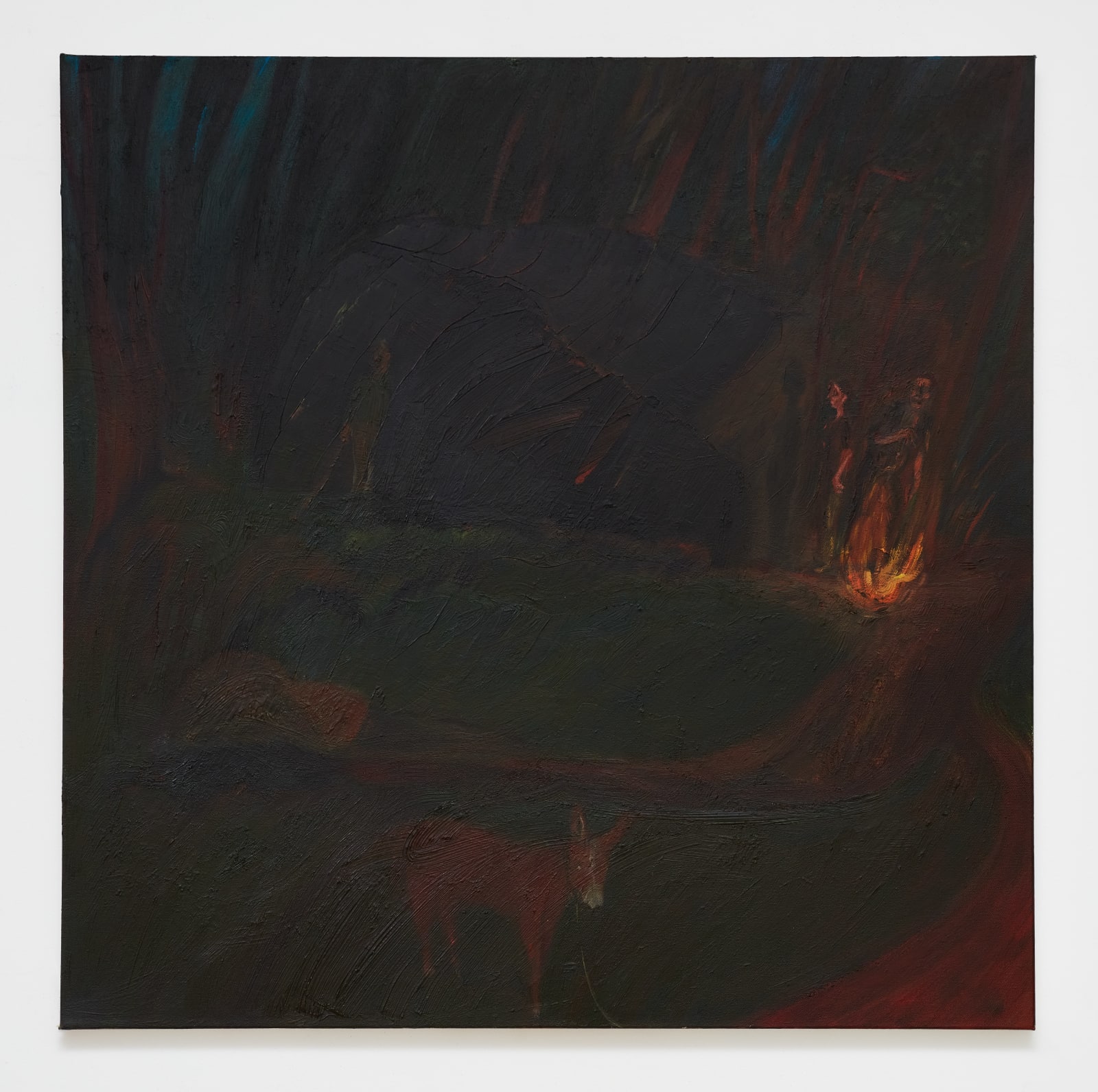 Soumya Netrabile, Wild Donkey at Blackrock, 2024