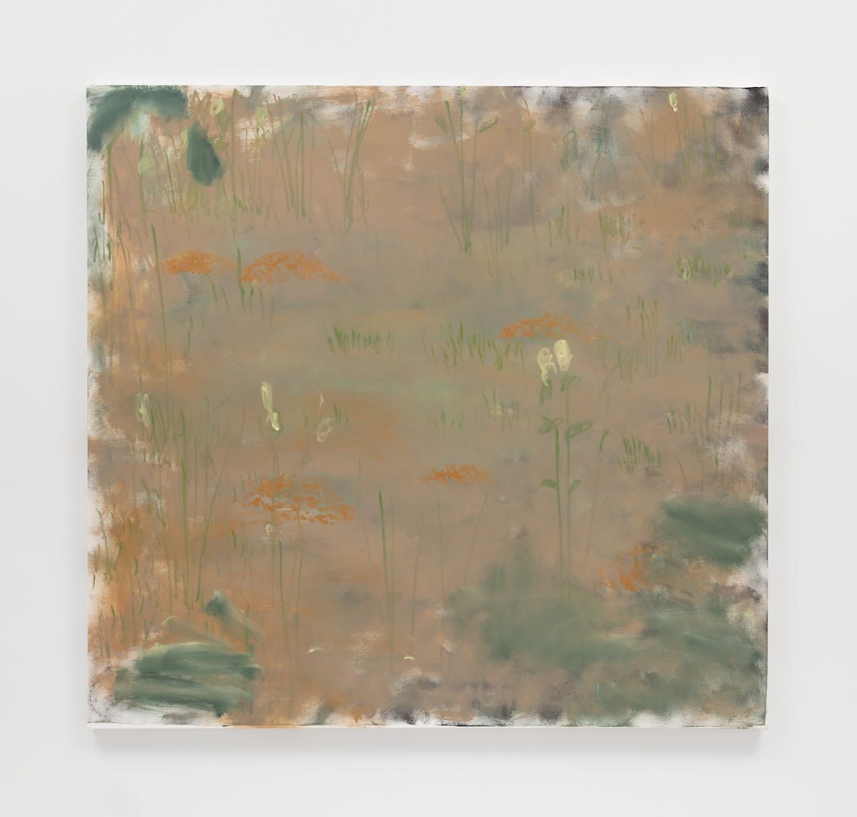 Trevor Shimizu, Hyacinth and Gopher Holes, 2019