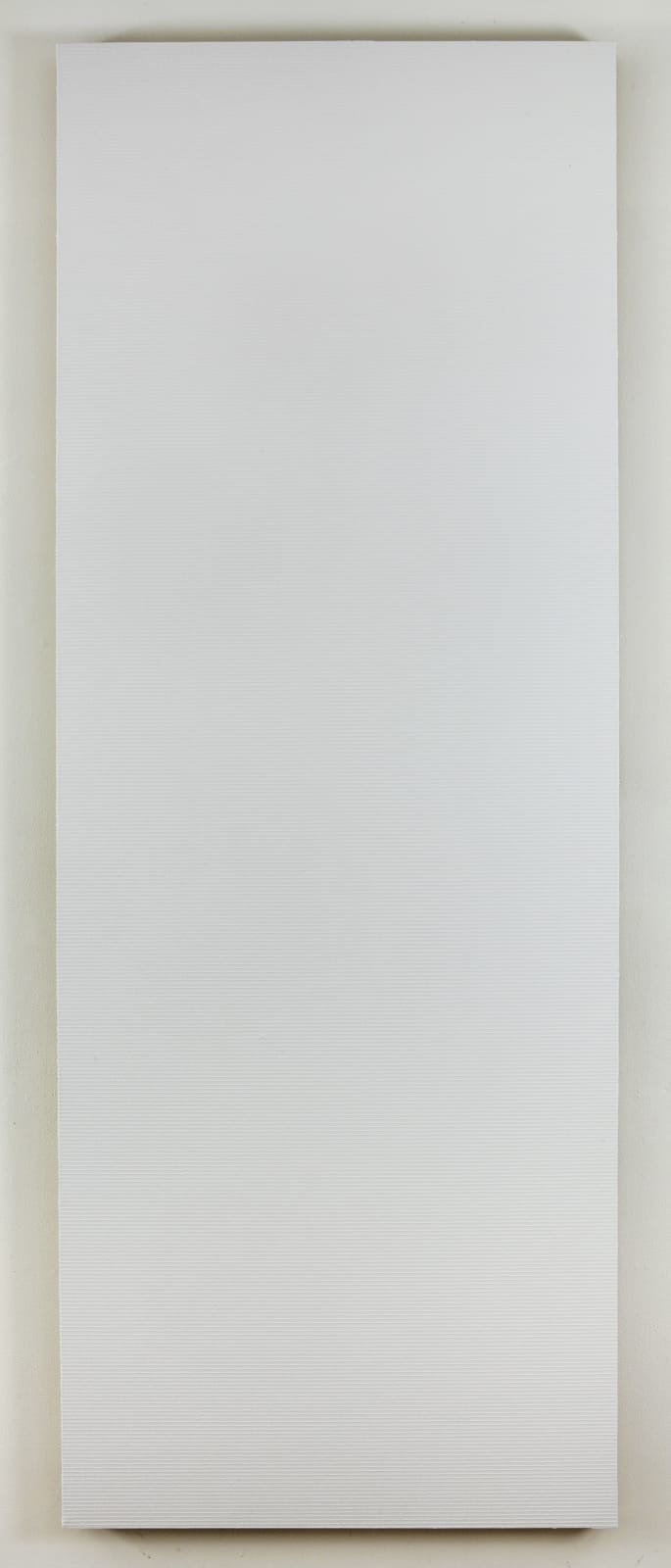 Ned Vena, Untitled, 2011